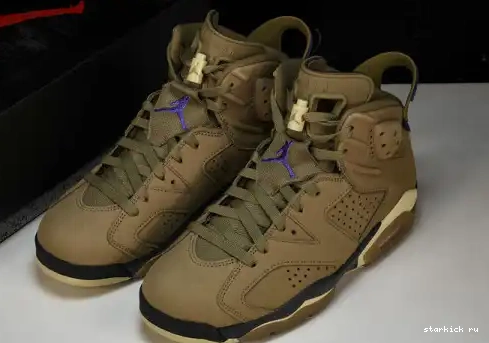 Retro Kelp 6 Gore-Tex Brown FD1643-300 Jordan FD1643-300  0611